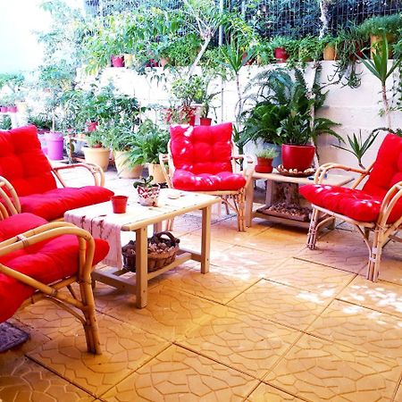 Hotel Zante Dahlia Laganas Exterior foto